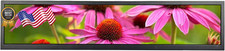 VSDISPLAY 24 Inch 1920x360 IPS Stretched Wide Bar Display for Gaming Marquee