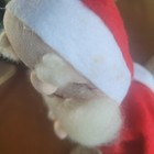 Foto 12 di 13