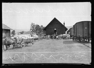 Photo:Railroad Freight Depot 1920s Horses Wagons Boxcars Farm Scene