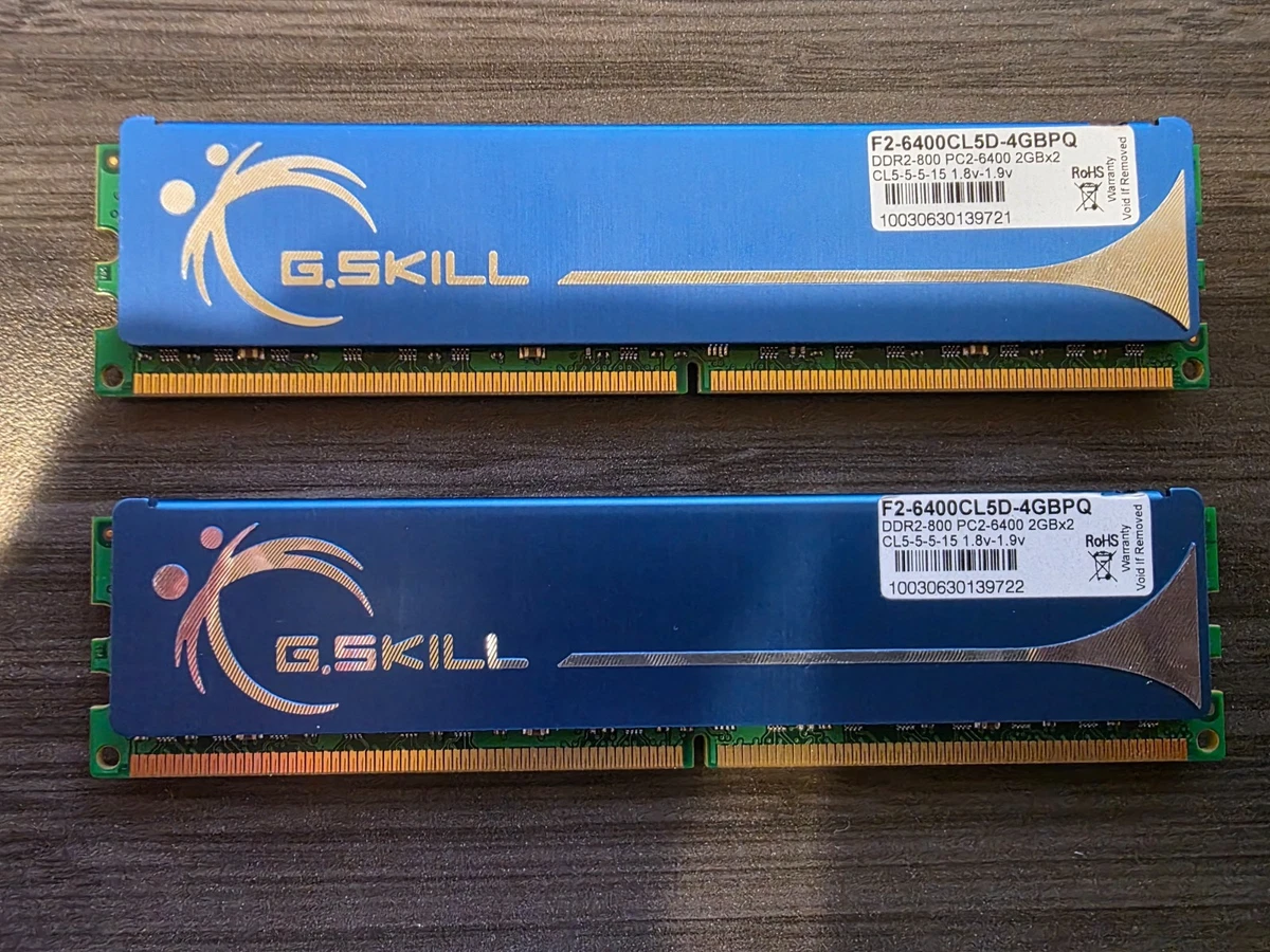 G. SKILL PC2-6400 DDR2-800 Computer SDRAM for sale | eBay