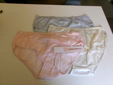 3 Shadowline Hidden Elastic Hipster Panty Style 11032 Size 9 Blush Ivory Silver