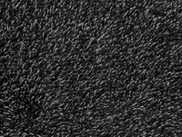 Grey Turtle Door Mat With Multi Grip Backing 75 X 100cm Grey Turtle Door Mat With Multi Grip Backing 75 X 100cm