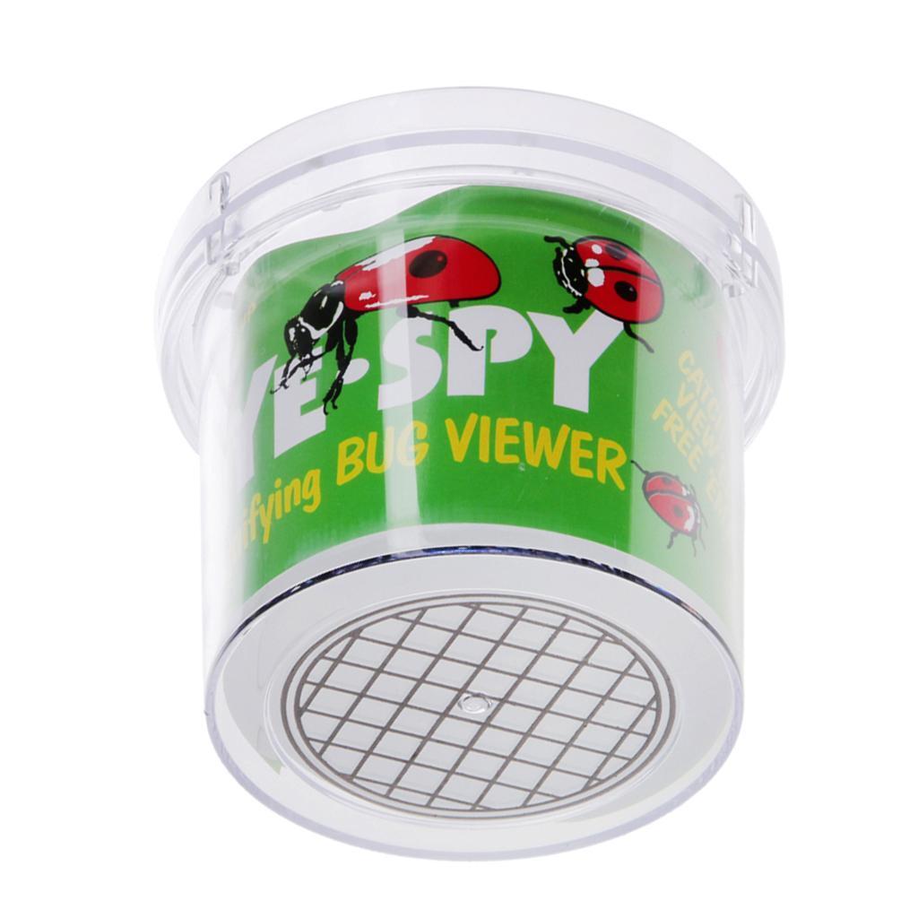Bug Viewer Box with Double Magnifier, Backyard Explorer Preschoolers ...