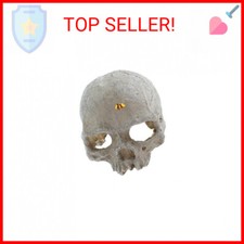 emours Reptile Hideout Skull Vivarium Aquarium Fish Tank Resin Ornament Cave Dec