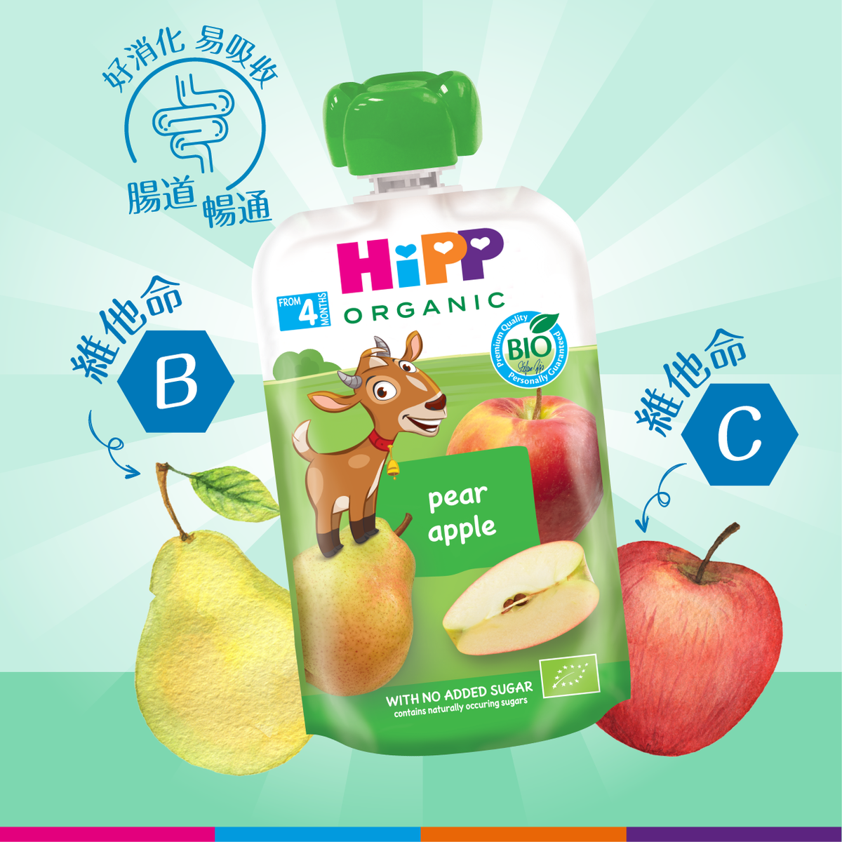 HiPP ORGANIC HIPPIS Pear Apple Pouches No Added Sugars x 100gr