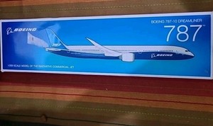 787 Dreamliner Boeing | eBay