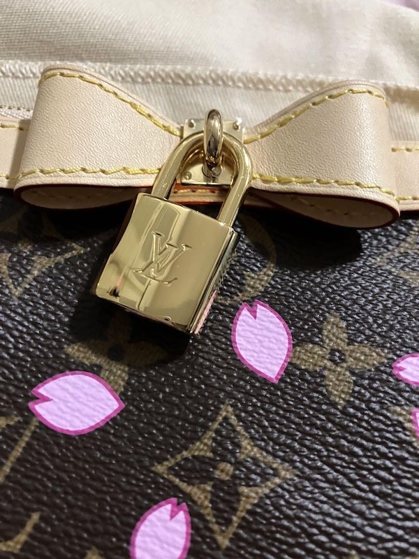 Louis Vuitton TM Pochette Accessoir Shoulder Bag M13666 Sakura