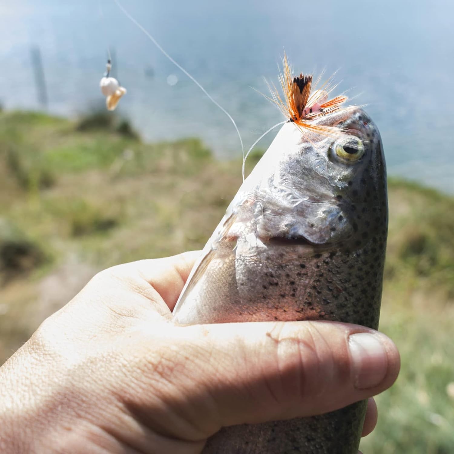 Handmade Topwater Fly Fishing Lures: 12 Colorful Poppers for Freshwater Anglers - Image 9
