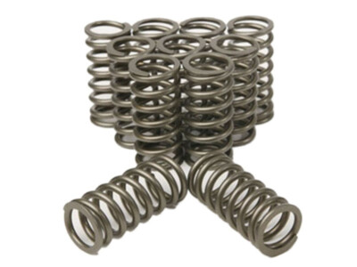 RB26 HEAVY DUTY VALVE SPRINGS Plazmaman