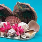 Signed 1959 St. Peterburg FLORIDA Sea Shell Art / Large Impressive Piece  — photo 4