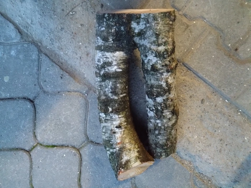 Birkenstamm, Birkenholz, Birkenscheibe, Dekosäule, Blumensäule, Honig, Geschenk, - Bild 4 von 4