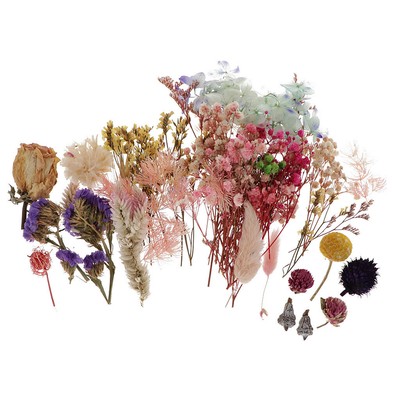 Bulk Real Press Dried Flowers Leaves For Diy Epoxy Resin Jewelry Making Ebay