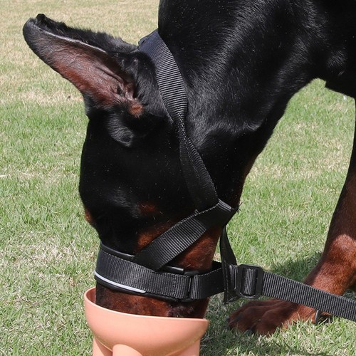 Quick-release Dog Muzzle for Dog Head Halter Muzzle with Safety Strap - Picture 6 of 17