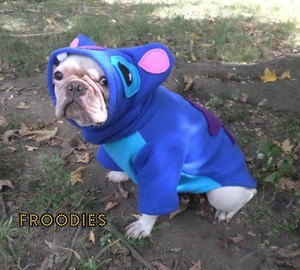 stitch frenchie