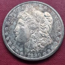 1880 S Morgan Dollar $1 High Grade Perfect BU DMPL TONED #33602
