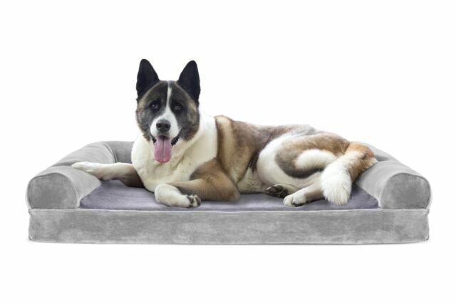 cooling orthopedic dog bed