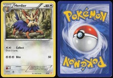 Herdier 19/30 BW Trainer Kit: Excadrill & Zoroark Common Lightly Played