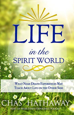 Life in the Spirit World: What Near-Death Experiences M - Paperback NEW Hathaway