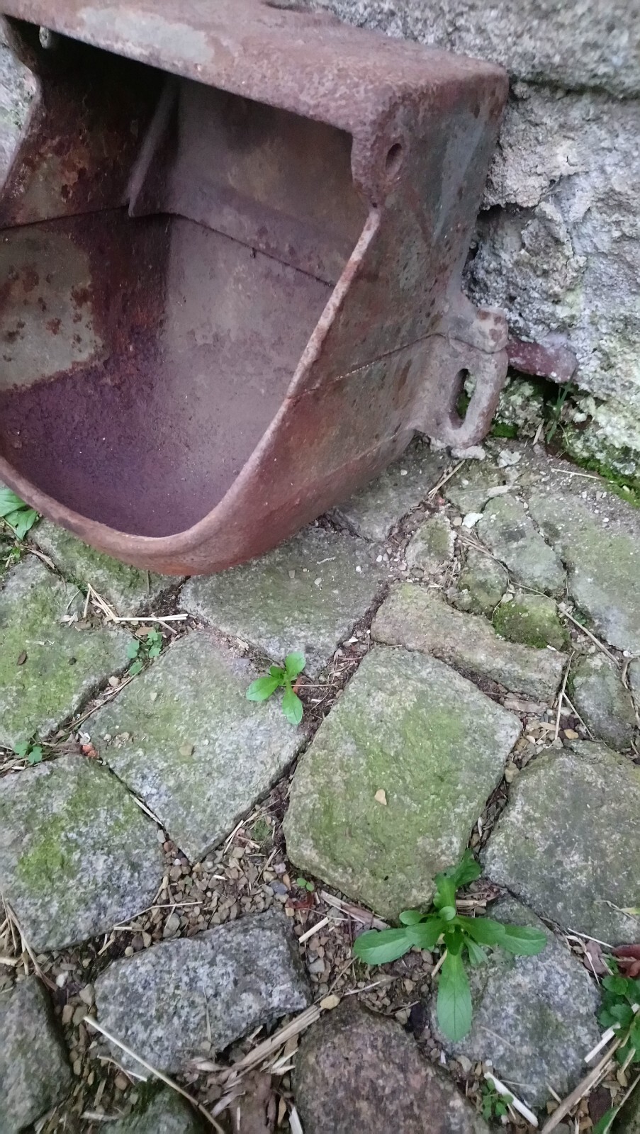 Bild 2 von 8