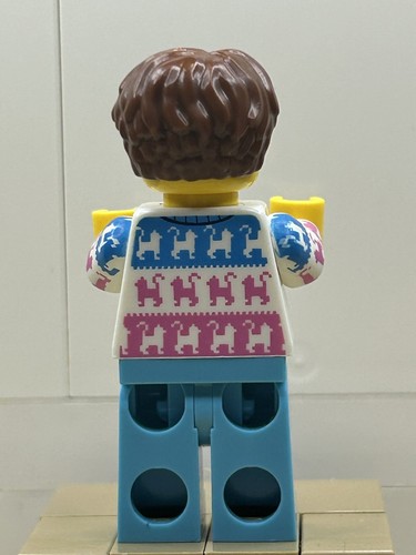 Lego Series 27 CRAZY CAT LOVER LADY Minifigure Collectible 71048 CMF Pet Groomer - Picture 2 of 4
