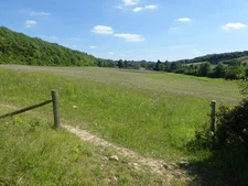 Photo 12x8 Chalk downland at Saltbox Hill Biggin Hill The chalk grassland  c2017