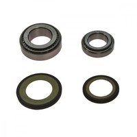 Lenkkopflager Kegelrollenlagersatz All Balls 22-1025 FüR Yamaha Tdr 125 93-96