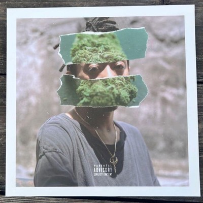 Rudebwoy Face / Jam Down LP Records