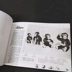 Foto 6 di 6