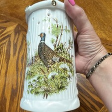 Gerold Porzellan Bavaria Germany Ceramic Beer Stein Bird Motif with Hidden Image