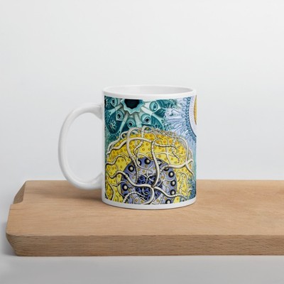 Haeckel Vintage Science Art Collage - 11oz White Glossy Mug