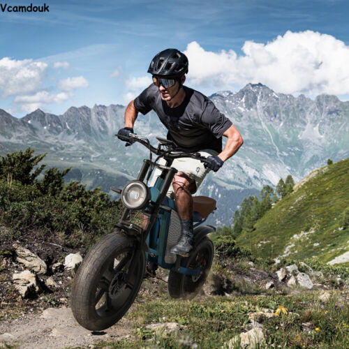 Electric e-Bike Dual Motor E-Bike 20" Fat Tires 48V 23Ah 60km Range 150kg Load - Picture 8 of 11