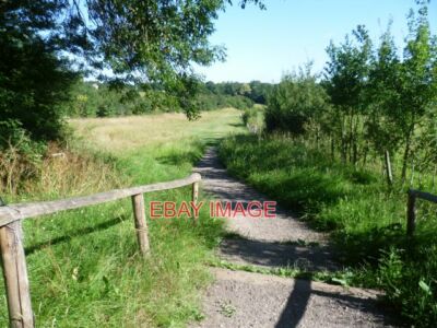 FOTO SCADBURY PARK LOKALES NATURSCHUTZGEBIET SCADBURY WIRD ERSTMALS IM 13. JAHRHUNDERT erwähnt