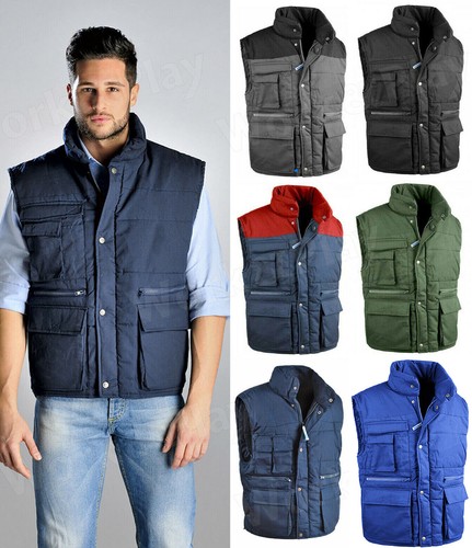 Gilet da lavoro multitasche imbottito uomo giubbino smanicato Antares SC |  eBay