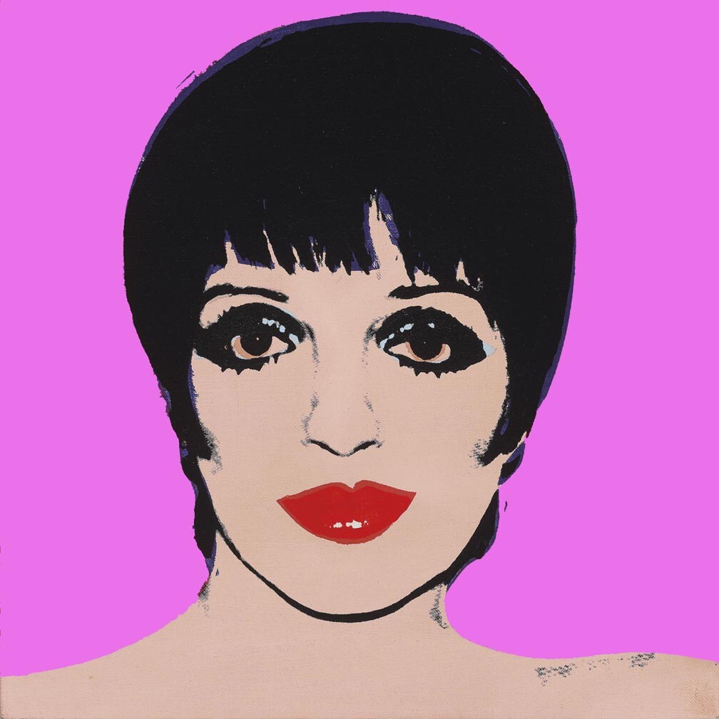 Andy Warhol Liza Minnelli #8 Canvas 17 x 17 | eBay
