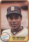 1981 Fleer - Lou Whitaker #463