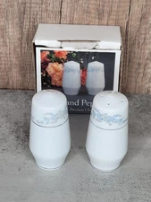 Somerset by NL Excel Salt & Pepper Shakers Fine Porcelain China Floral NOB
