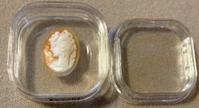 Shell Cameo 20mm x 15mm Hand Carved Excellent Condition