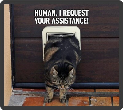 Hilarious Tiger Cat Human, I Request Your Assistance Refrigerator Magnet