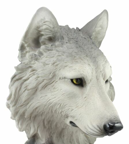 Große 16"H Bloodlust Alpha Wolf Pack Jäger Büste Figur Rocky Mountains Tim... - Bild 5 von 7