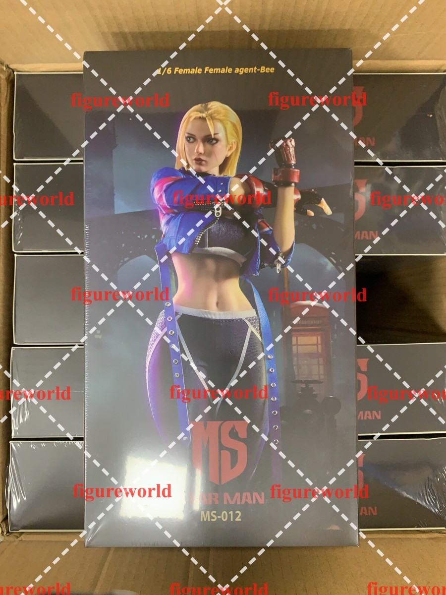 未開封 starman MS-012 1/6 キャミィ フィギュア STAR MAN (MS-012) 1/6 Scale Cammy Figure (SF6 Version)