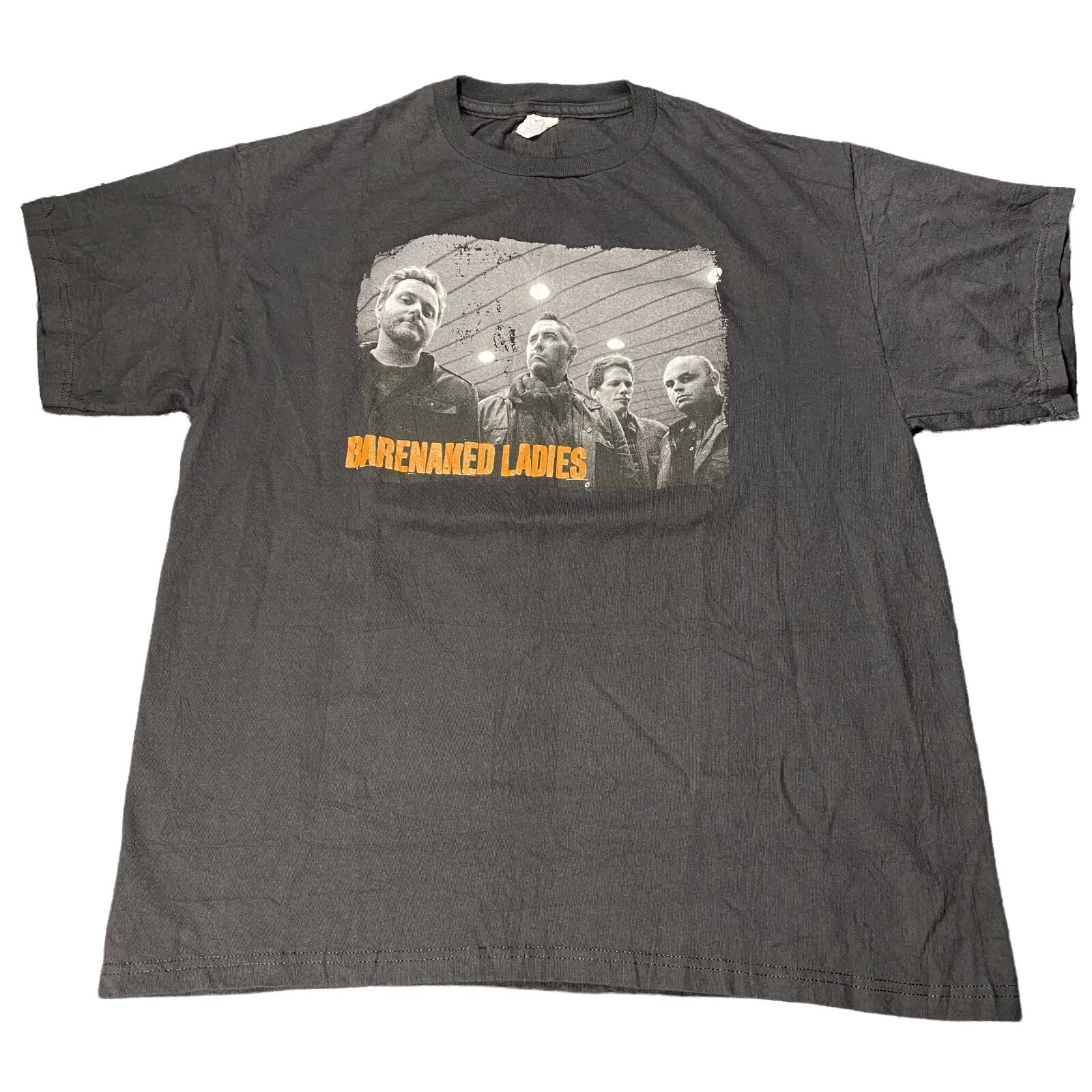 2000'S Delta Pro Weight THE WALKING DEAD Movie Large Print T-Shirt Men's Size L cotton Charcoal Vintage Second Hand