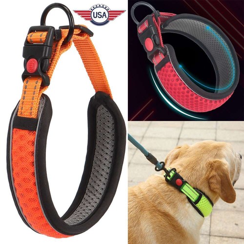 Dog Pet Adjustable Nylon Collar padded Reflective Small Medium Large With Buckle - Picture 3 of 15