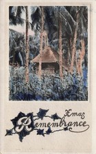 RPPC Hawaii Maguey Agave Grove Farm Tiki Hut Christmas Card Photo Postcard F22