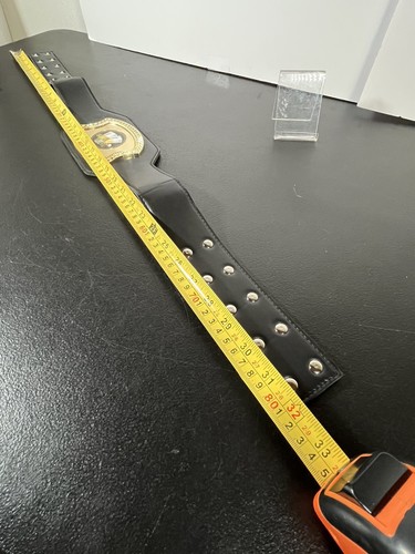 Crown Small, Beer Pong Champion Championship Belt - Picture 3 of 4