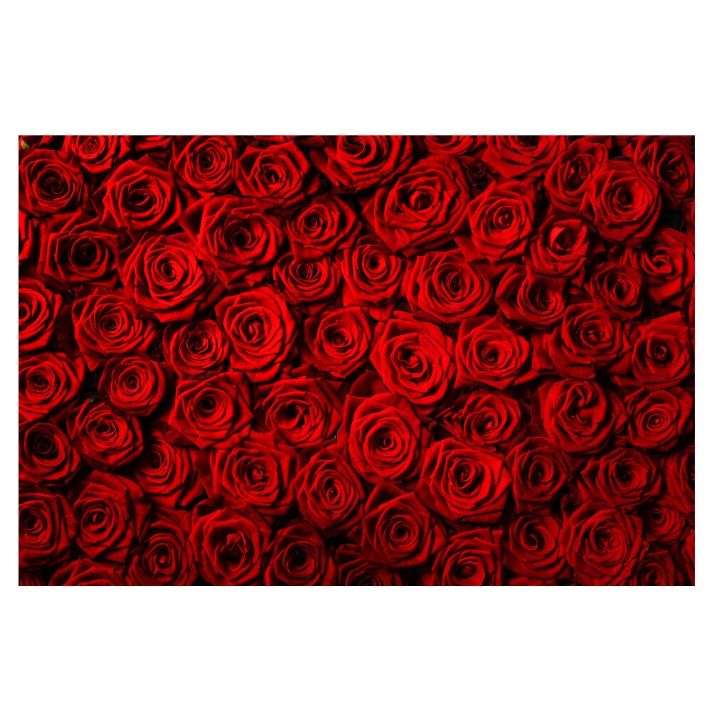 Red Roses Background Pattern