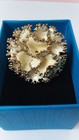 Cream Enamel Elasticized Band Ring SIZE 6 ++ UP — photo 6