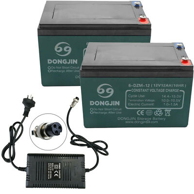 12V 12ah Electric Bicycle Battery (6-DZM-12) - Batteries, 12v Battery