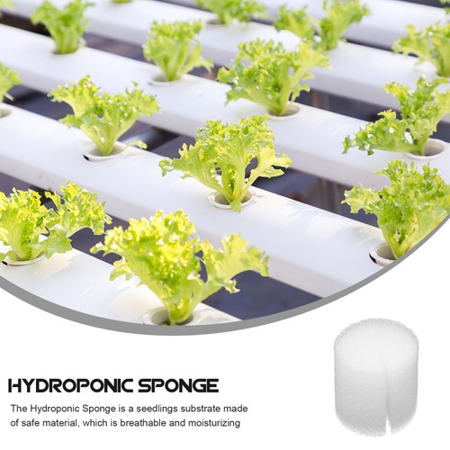 Blocco Spugna Idroponica Senza Suolo 100pz per Coltivazione Piante Agricoltura Moderna - Foto 11 di 12