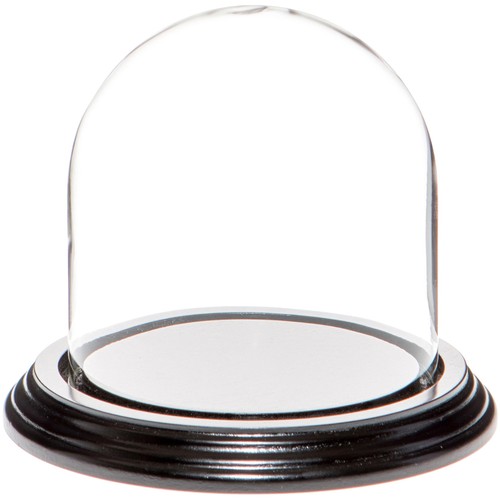 Plymor 4" x 4" Glass Display Dome Cloche (Black Wood Veneer Base) - Picture 1 of 3