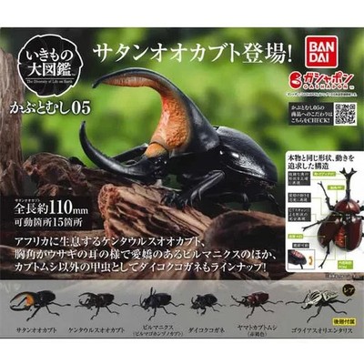Bandai Ikimono Encyclopedia Beetle 05 set of 6 Gashapon Capsule Toys Gacha